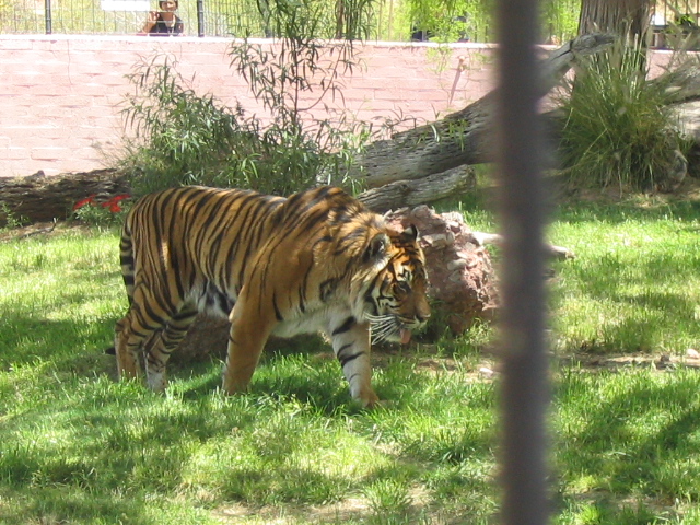 618x457 pixels (248K)